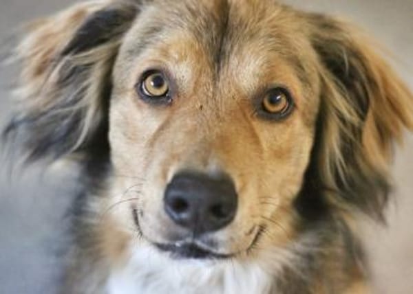 Bernie - möchte endlich ankommen