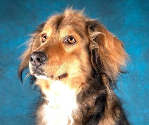 Bernie - möchte endlich ankommen