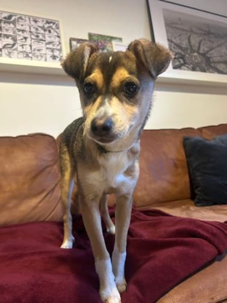 🌞 Felix  kleiner Sonnenschein