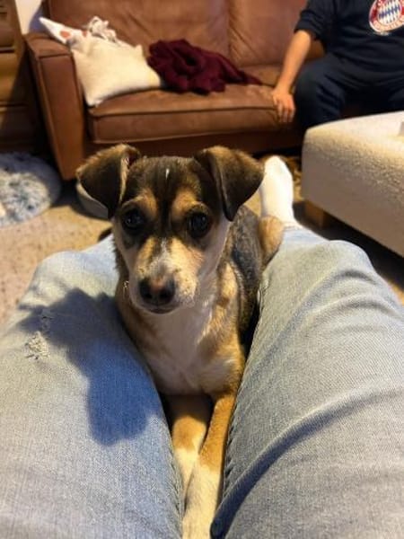 🌞 Felix  kleiner Sonnenschein