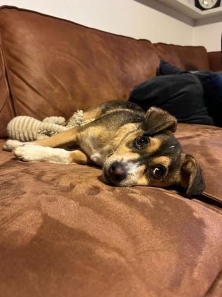 🌞 Felix  kleiner Sonnenschein