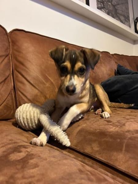 🌞 Felix  kleiner Sonnenschein