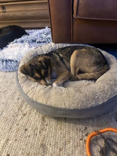 🌞 Felix  kleiner Sonnenschein