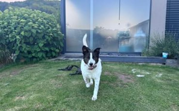 Cersei sucht Familienanschluss