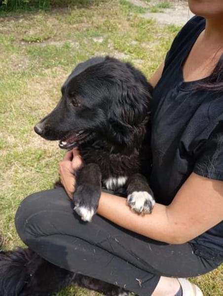 Maja 46 cm (Pflegestelle)