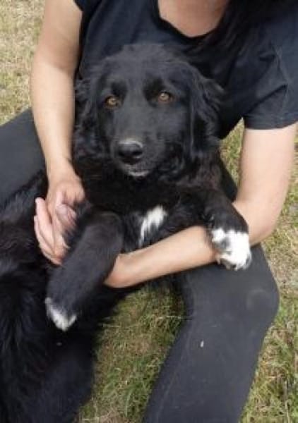 Maja 46 cm (Pflegestelle)