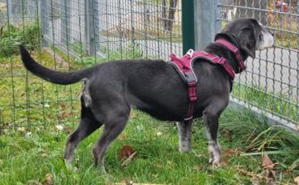 Dita, super brave Seniorin