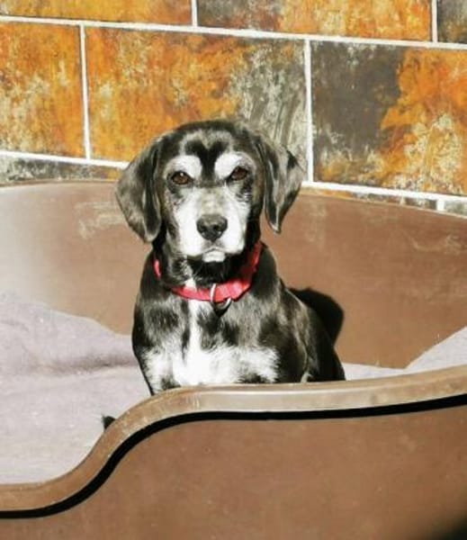 Dita, super brave Seniorin