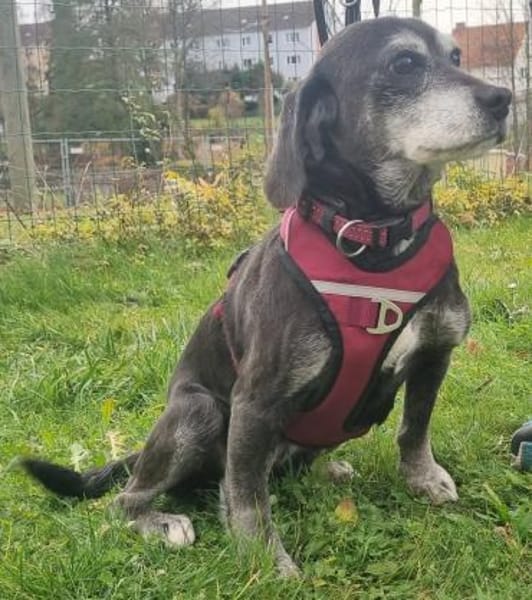 Dita, super brave Seniorin