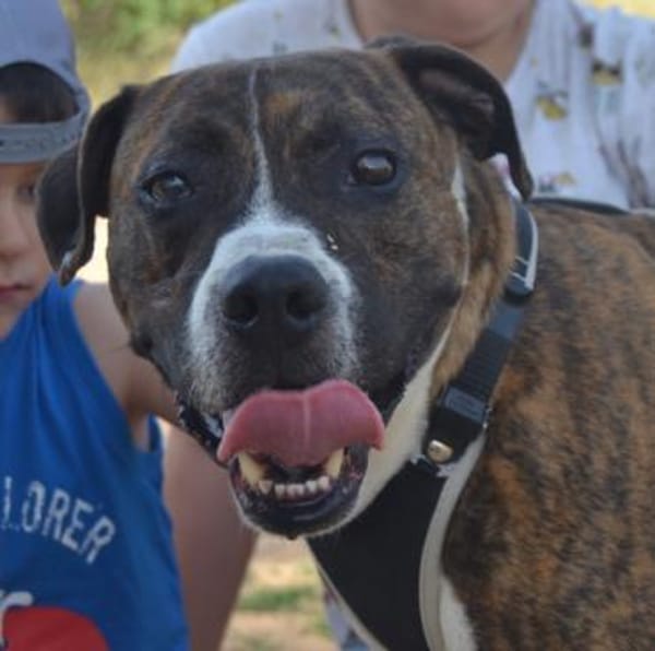 Santo braucht Liebe, kein Mitleid