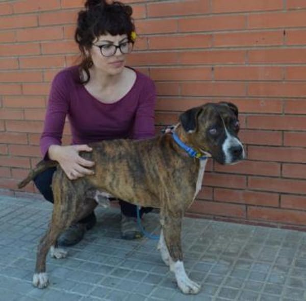 Santo braucht Liebe, kein Mitleid