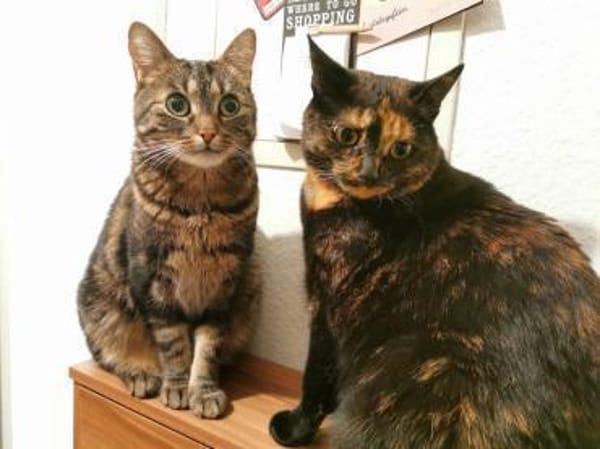 Dreamteam Luna und Fiete in Erfurt