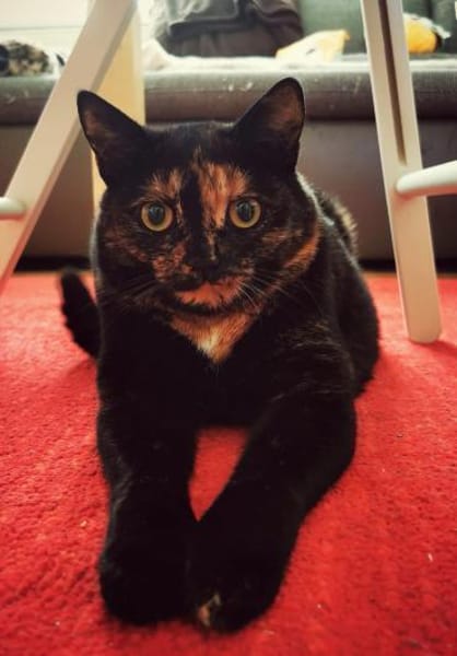 Dreamteam Luna und Fiete in Erfurt