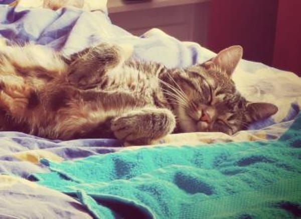 Dreamteam Luna und Fiete in Erfurt