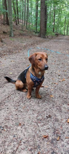 💙Mika💙 sucht seine Familie