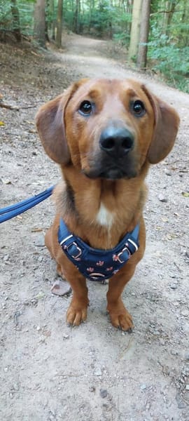 💙Mika💙 sucht seine Familie