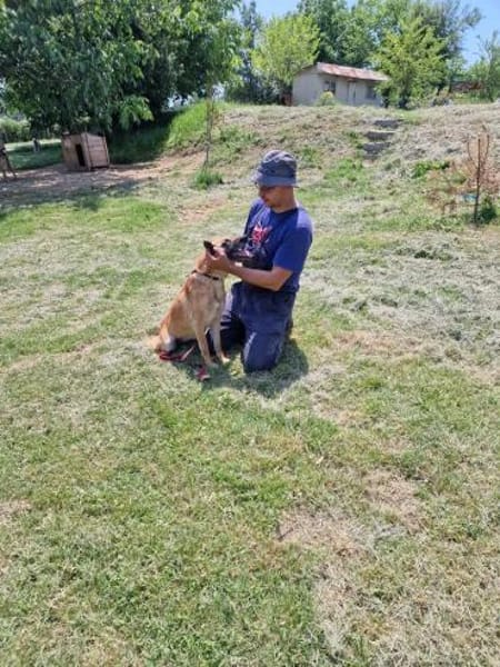 Notfallhund RUBY sucht DRiNGEND 🆘🆘