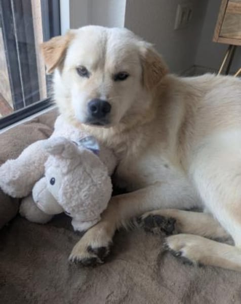 Cindy 💗 wartet in 12529 Schönefeld