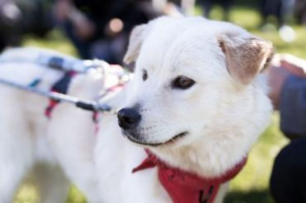 Cindy 💗 wartet in 12529 Schönefeld