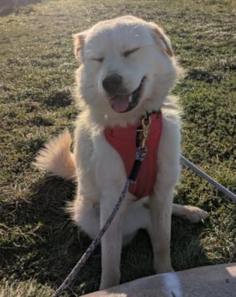 Cindy 💗 wartet in 12529 Schönefeld