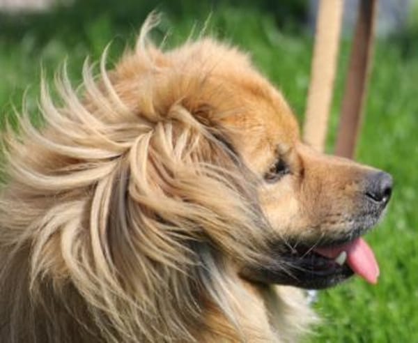 ROBY - traute Zweisamkeit wäre klasse