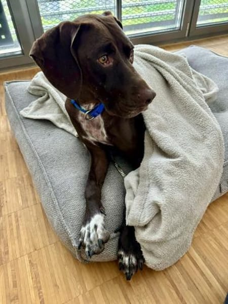 Asia, respektvoll, lernfreudig, offen