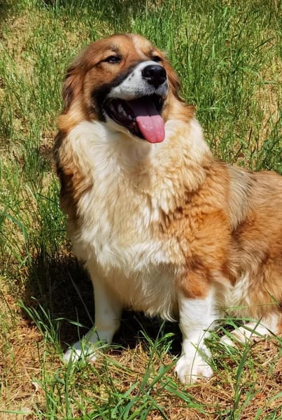 Clara sucht Ihre Menschen