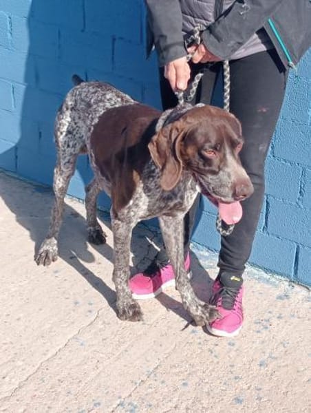 Ragnar ein Menschenfreund