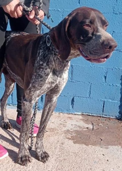 Ragnar ein Menschenfreund