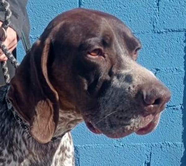 Ragnar ein Menschenfreund