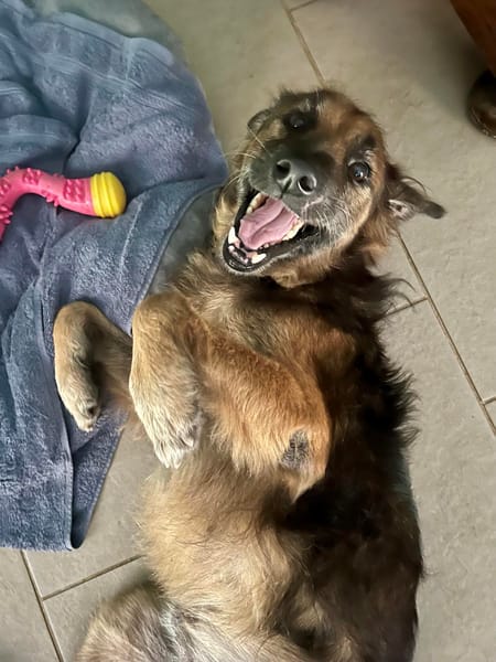 Bobby, uncréole très sympathique