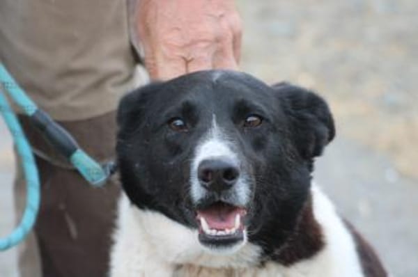 Aria - perfekt für Familie mit Kindern