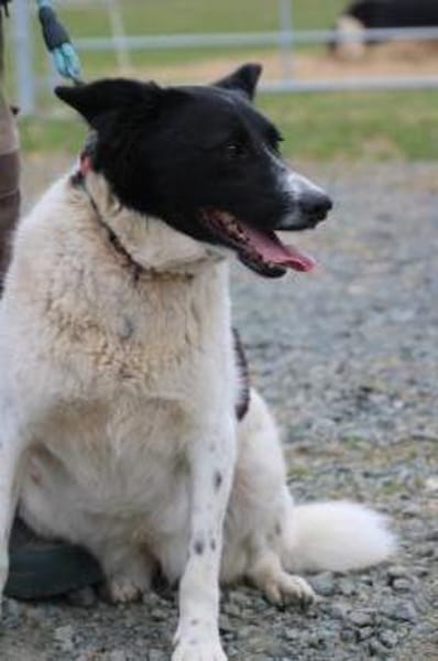 Aria - perfekt für Familie mit Kindern