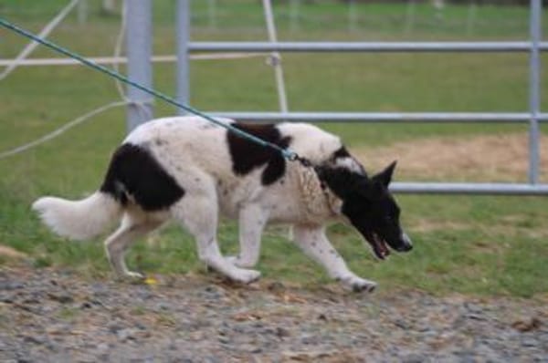 Aria - perfekt für Familie mit Kindern