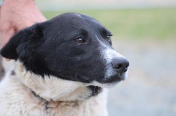 Aria - perfekt für Familie mit Kindern