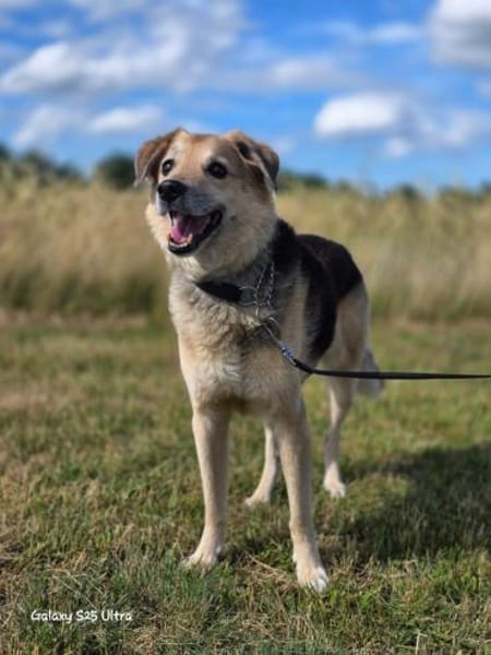 Karden  Ein Gentleman