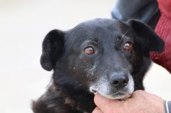 Magula - ruhig u. sehr lieb