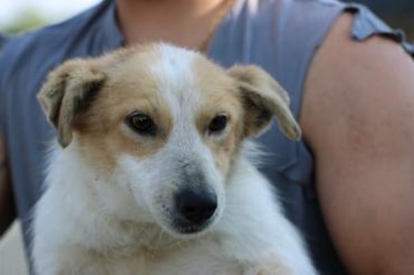 Noya - zutraulich u. unkompliziert