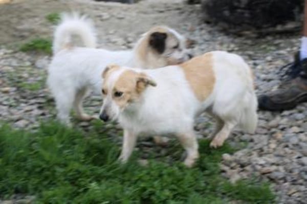 Noya - zutraulich u. unkompliziert