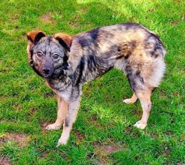 Einzigartig süße Frieda 1 Jahr