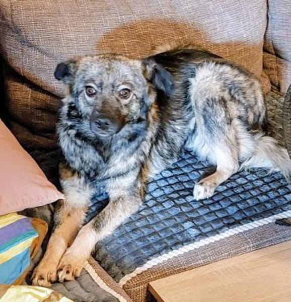 Einzigartig süße Frieda 1 Jahr