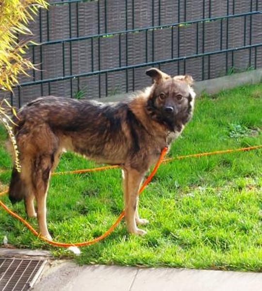 Einzigartig süße Frieda 1 Jahr