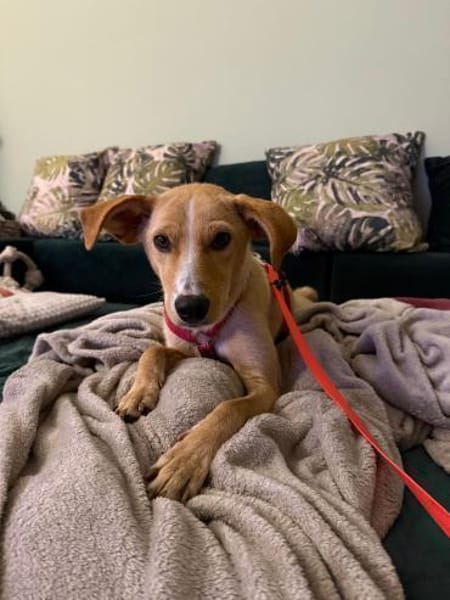 Kiani braucht Zeit, 50cm, 15kg