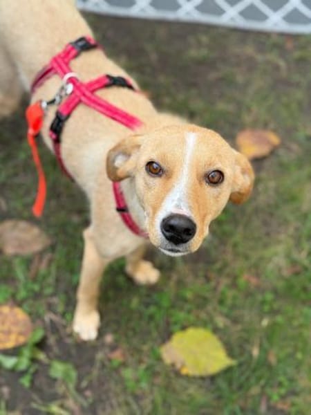 Kiani braucht Zeit, 50cm, 15kg