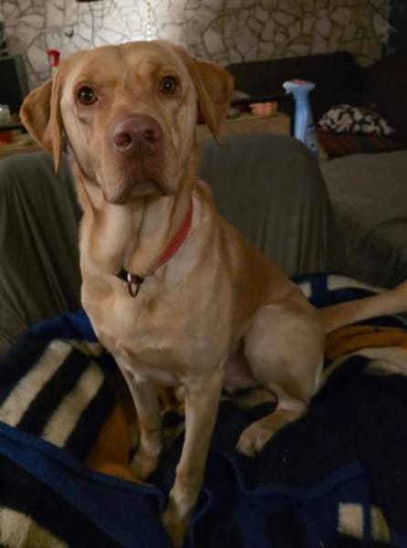 Karsten - ein lieber große Bub