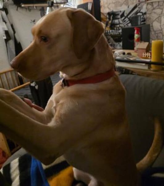 Karsten - ein lieber große Bub