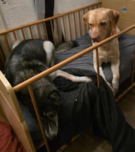 Karsten - ein lieber große Bub