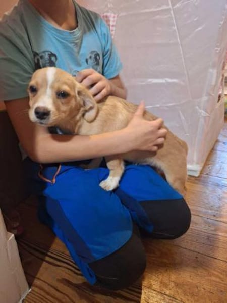 Jingle sucht seinen sicheren Hafen