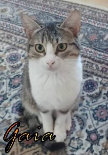 Batman und Gaia warten in Augsburg