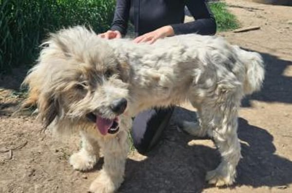 Bärchen: sein Name ist Programm